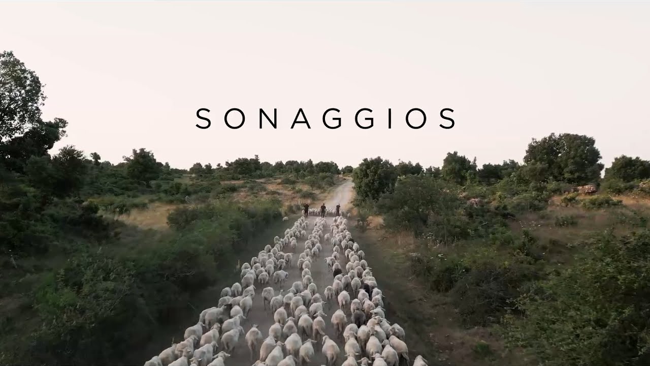 Sonaggios