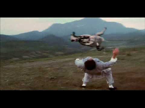 Kung Pow: Enter the Fist