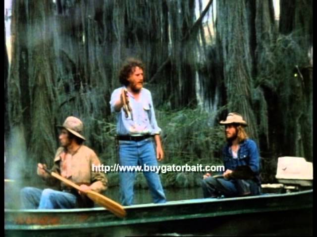 'Gator Bait