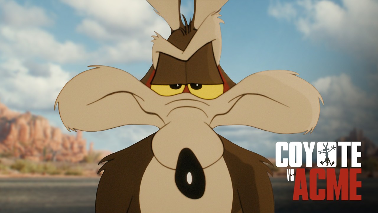 Coyote vs ACME