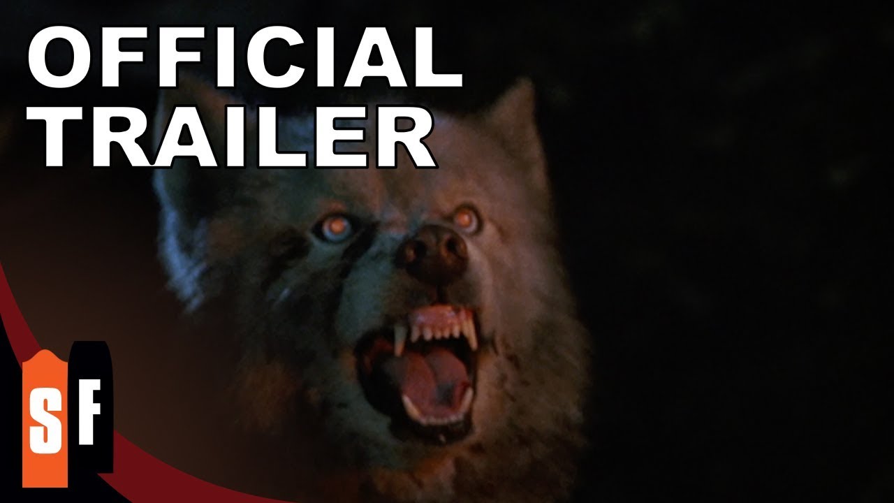 Pet Sematary II