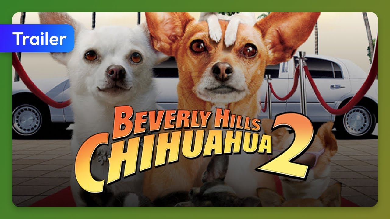 Beverly Hills Chihuahua 2