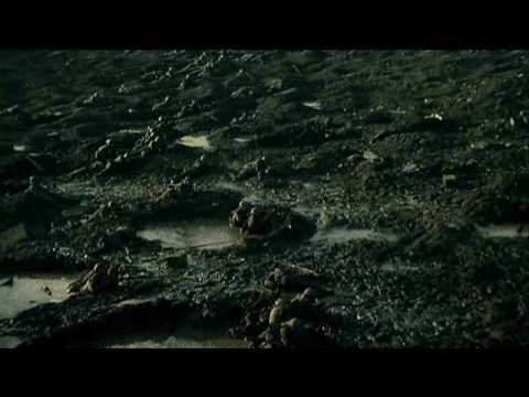 Passchendaele