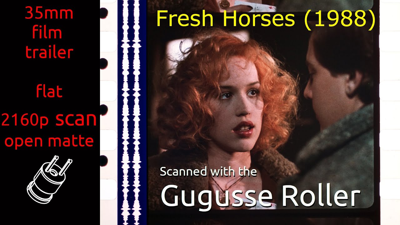 Fresh Horses