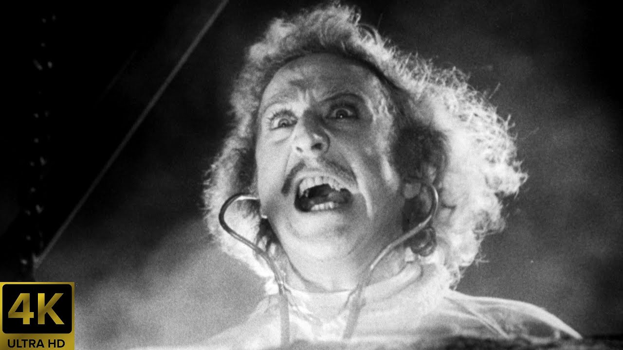 Young Frankenstein