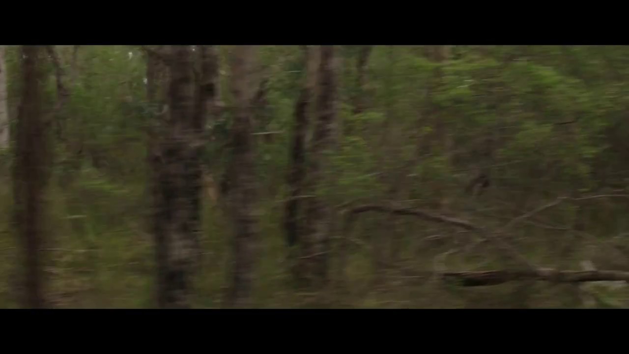 Killing Ground