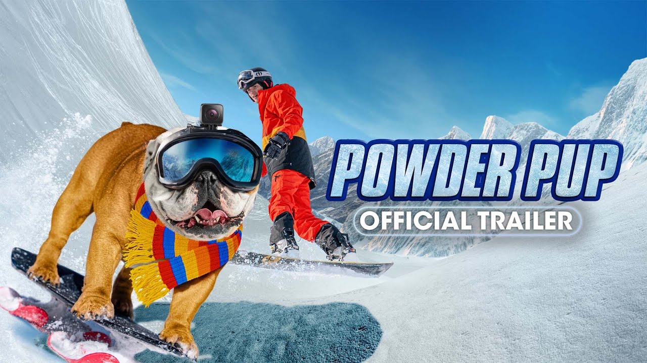 Powder Pup