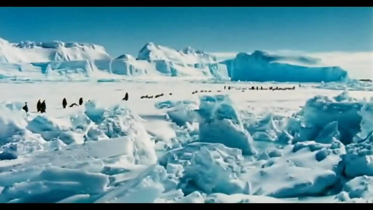 March of the Penguins