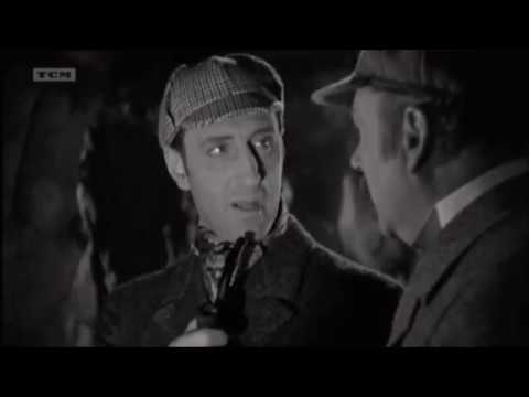 The Hound of the Baskervilles