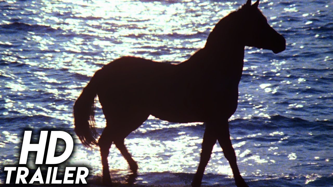 The Black Stallion