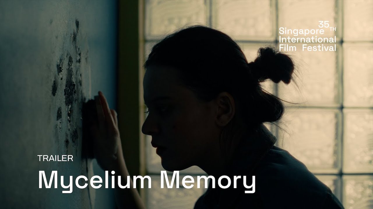 Mycelium Memory