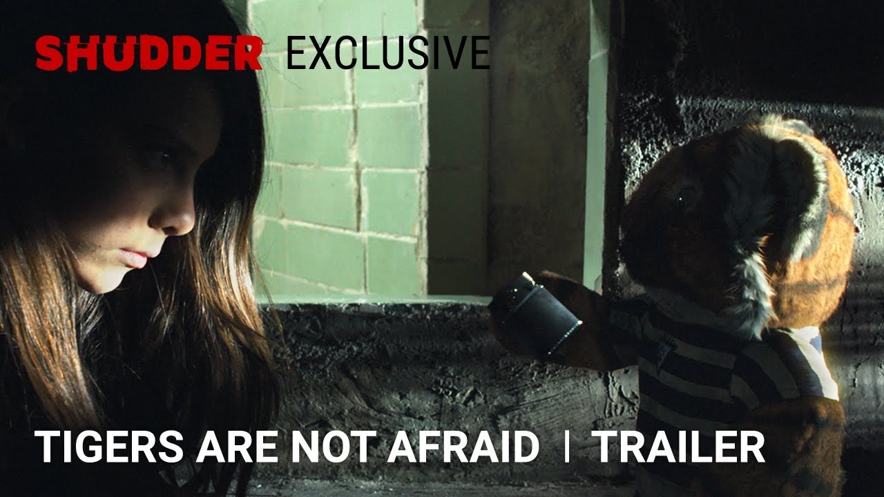 Tigers Are Not Afraid