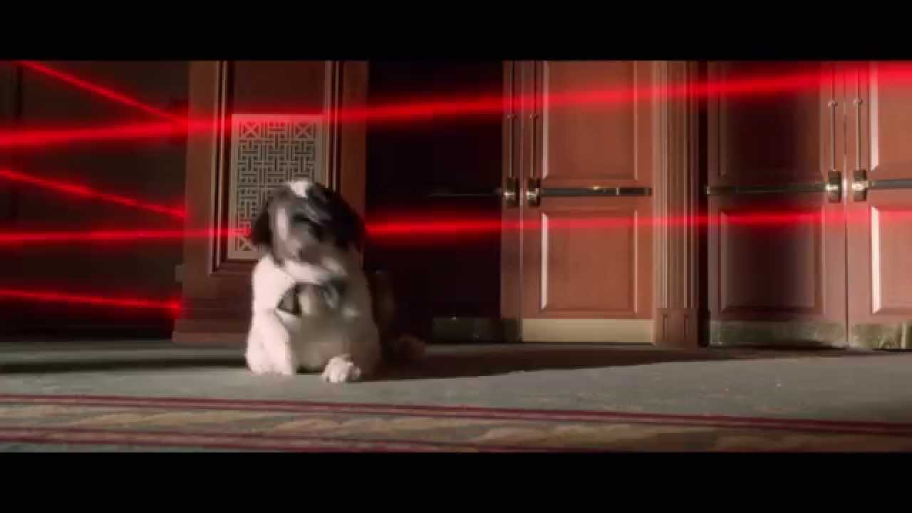 Beethoven's Treasure Tail