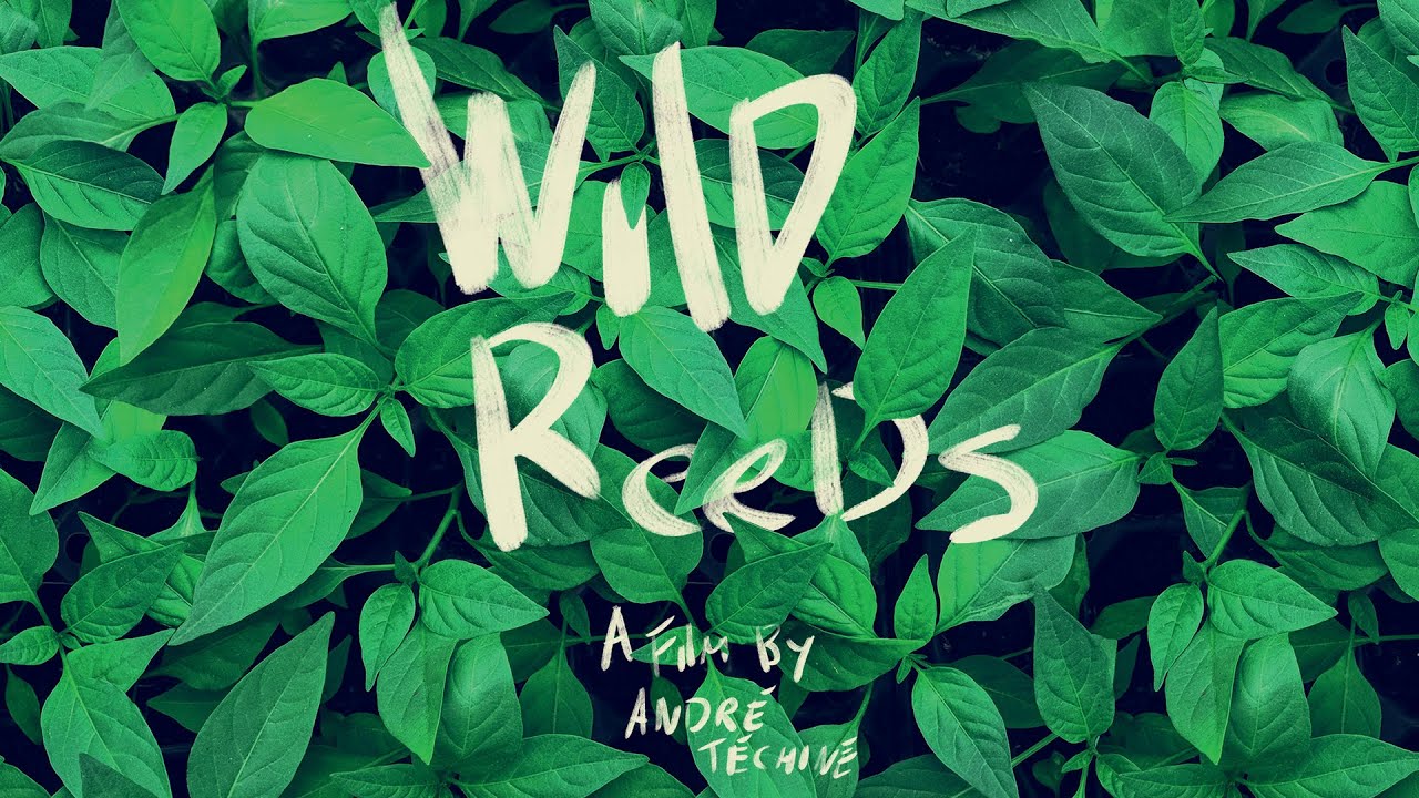 Wild Reeds