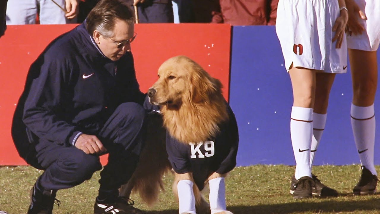 Air Bud: World Pup