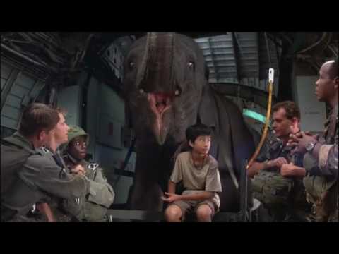 Operation Dumbo Drop