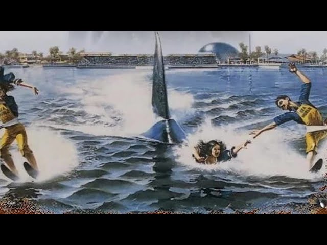 Jaws 3-D