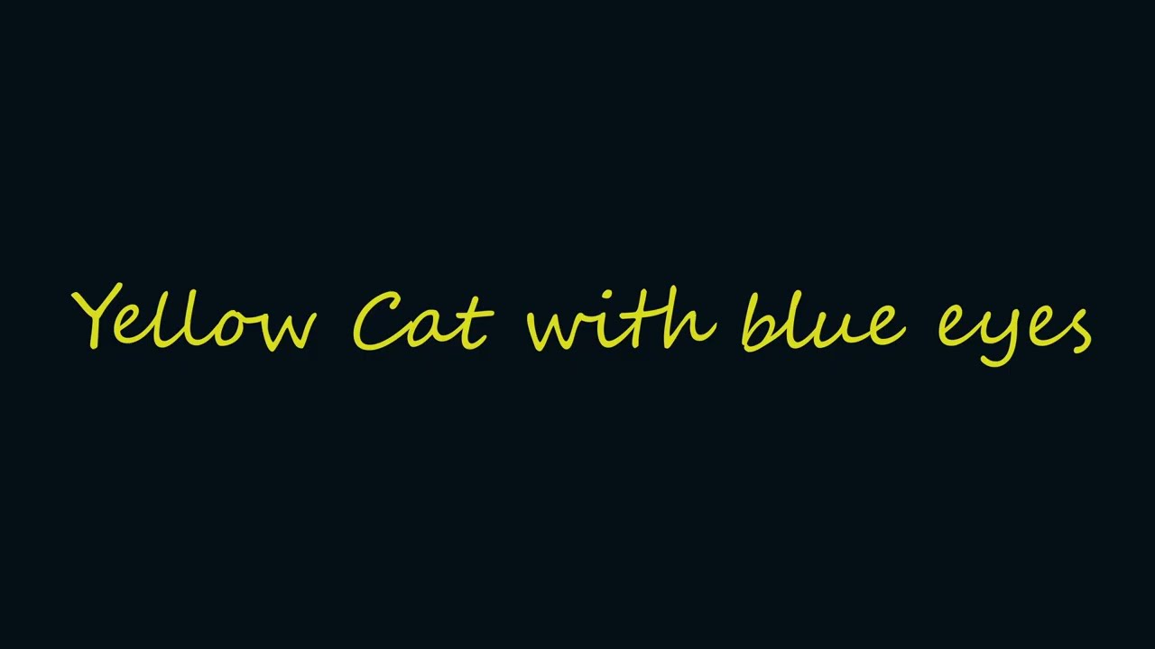 Yellow Cat with Blue Eyes