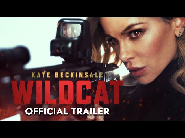 Wildcat