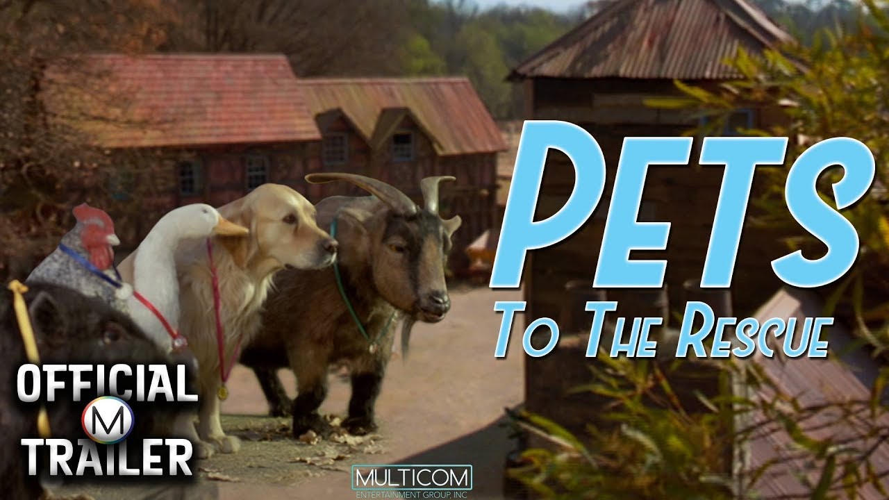 Pets