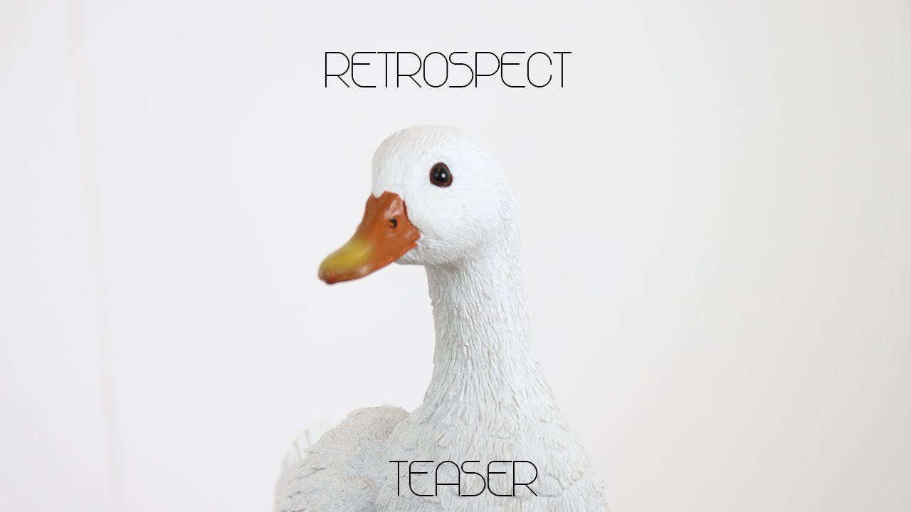 Retrospect