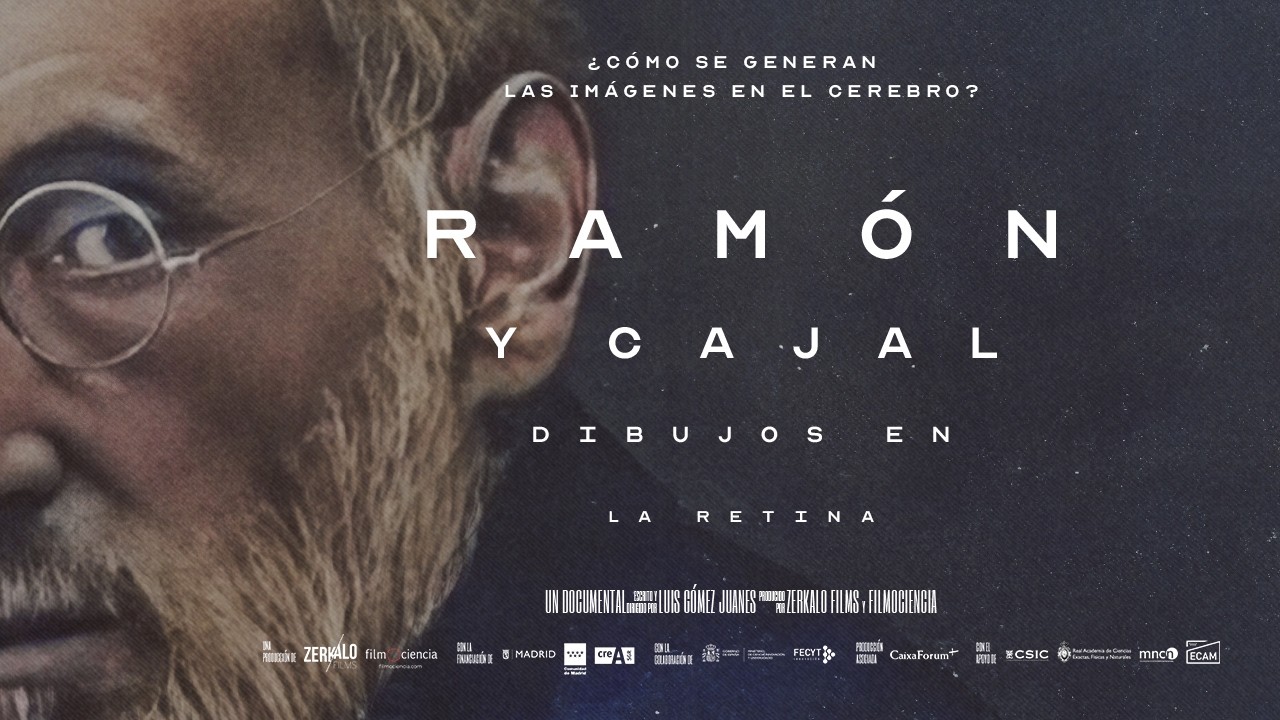 Ramón y Cajal: drawings on the retina