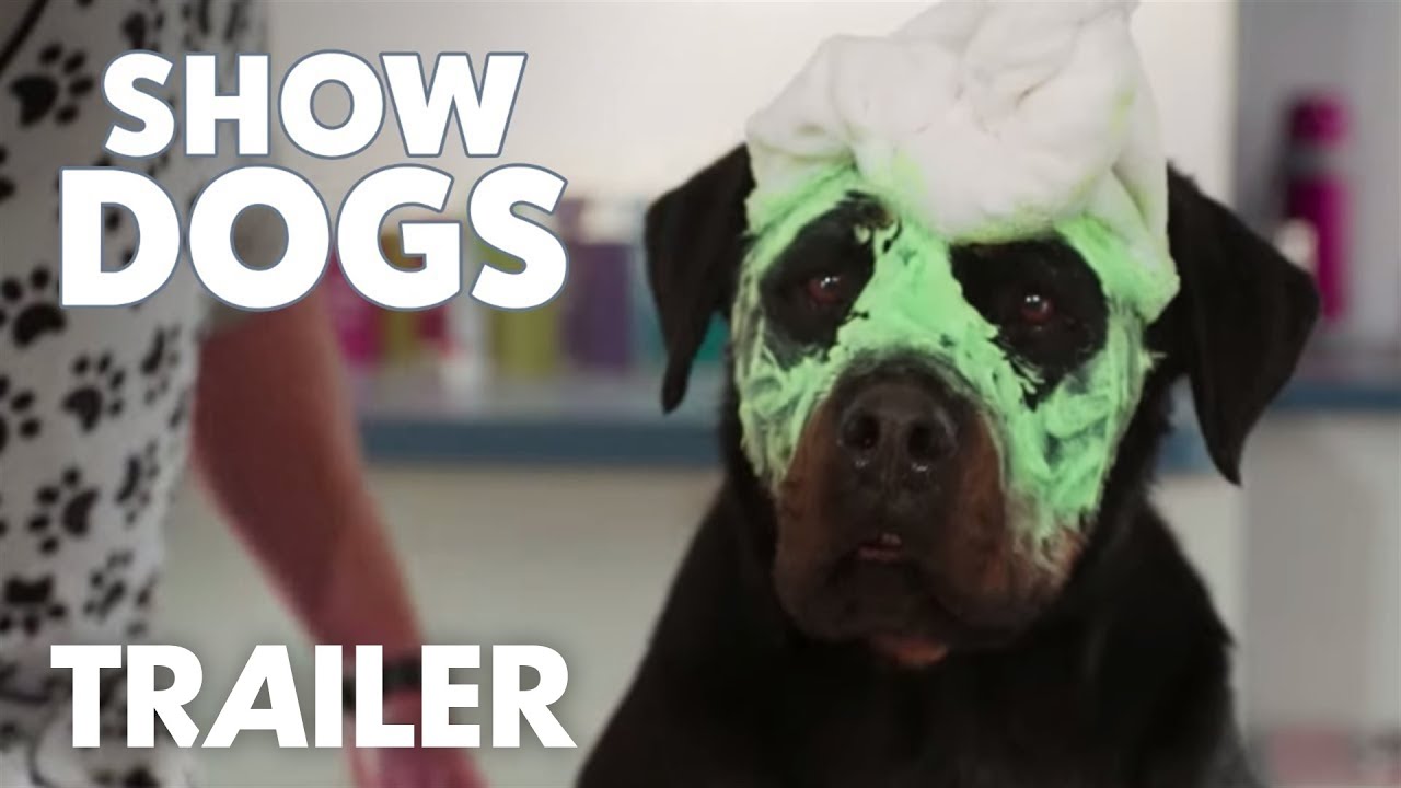 Show Dogs