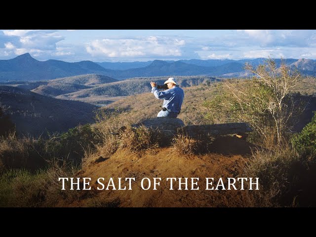 The Salt of the Earth