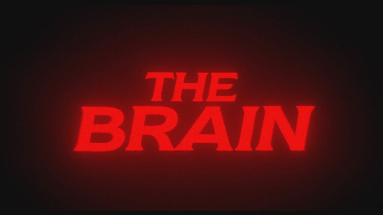 The Brain