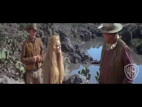 The Train Robbers