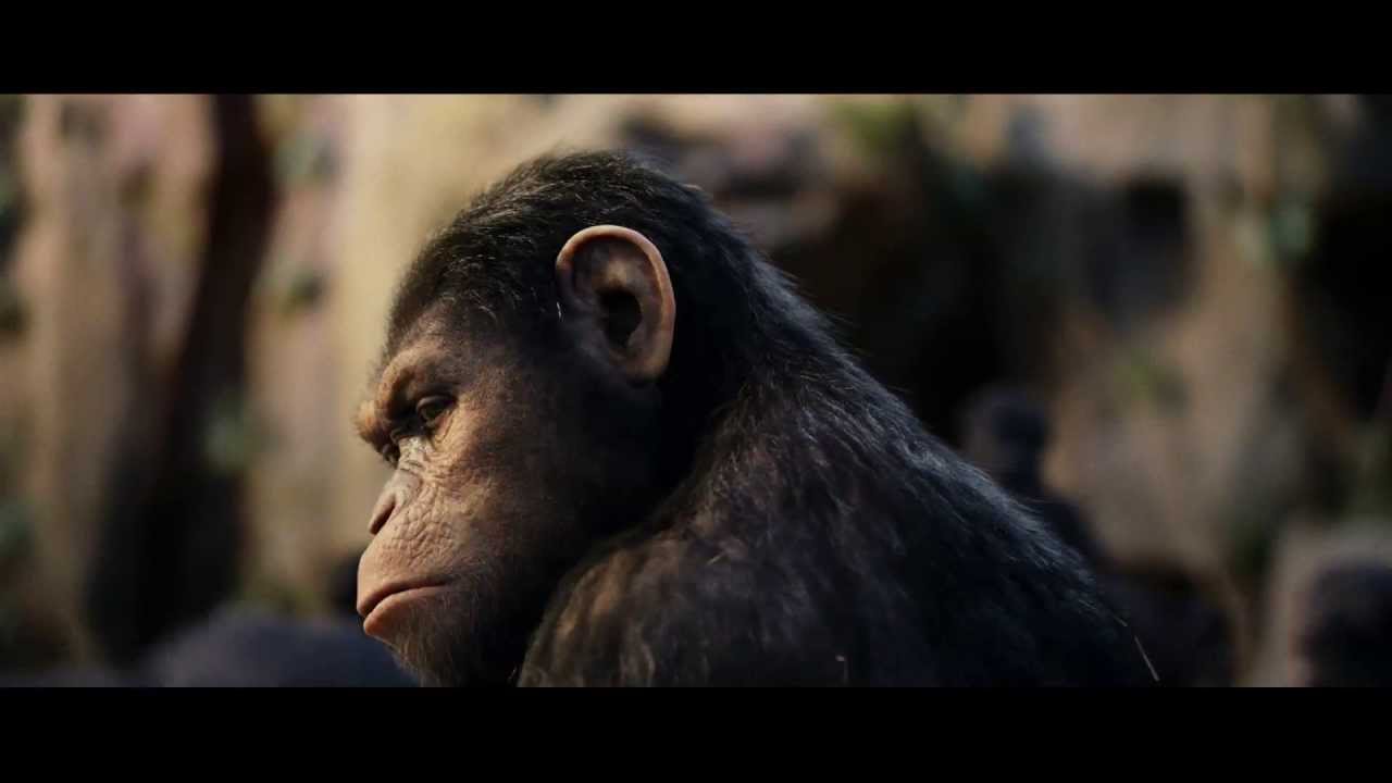 Rise of the Planet of the Apes