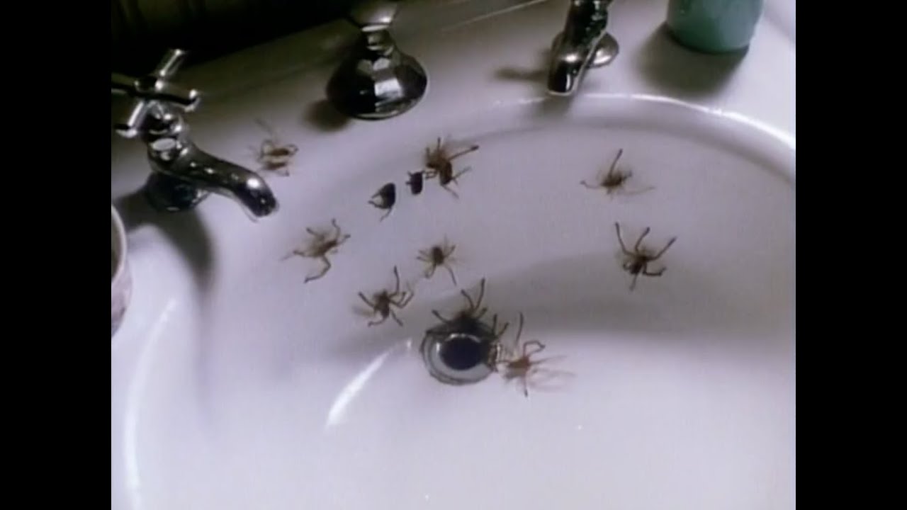 Arachnophobia