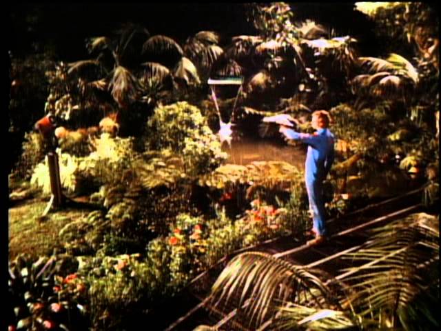 Silent Running