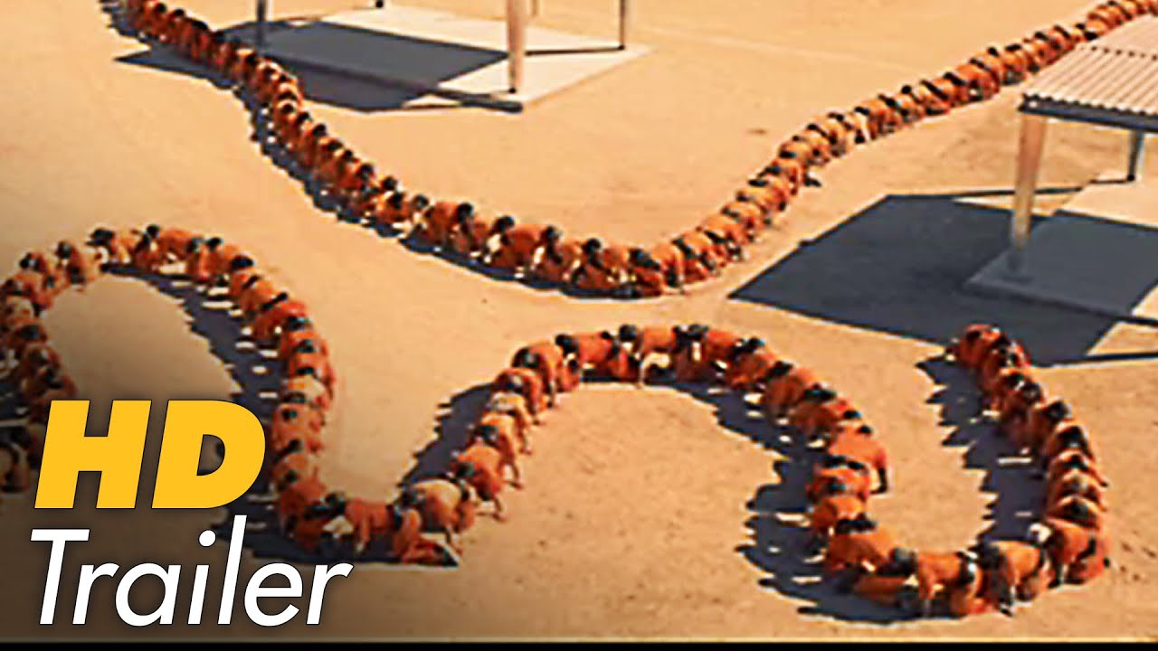The Human Centipede 3 (Final Sequence)