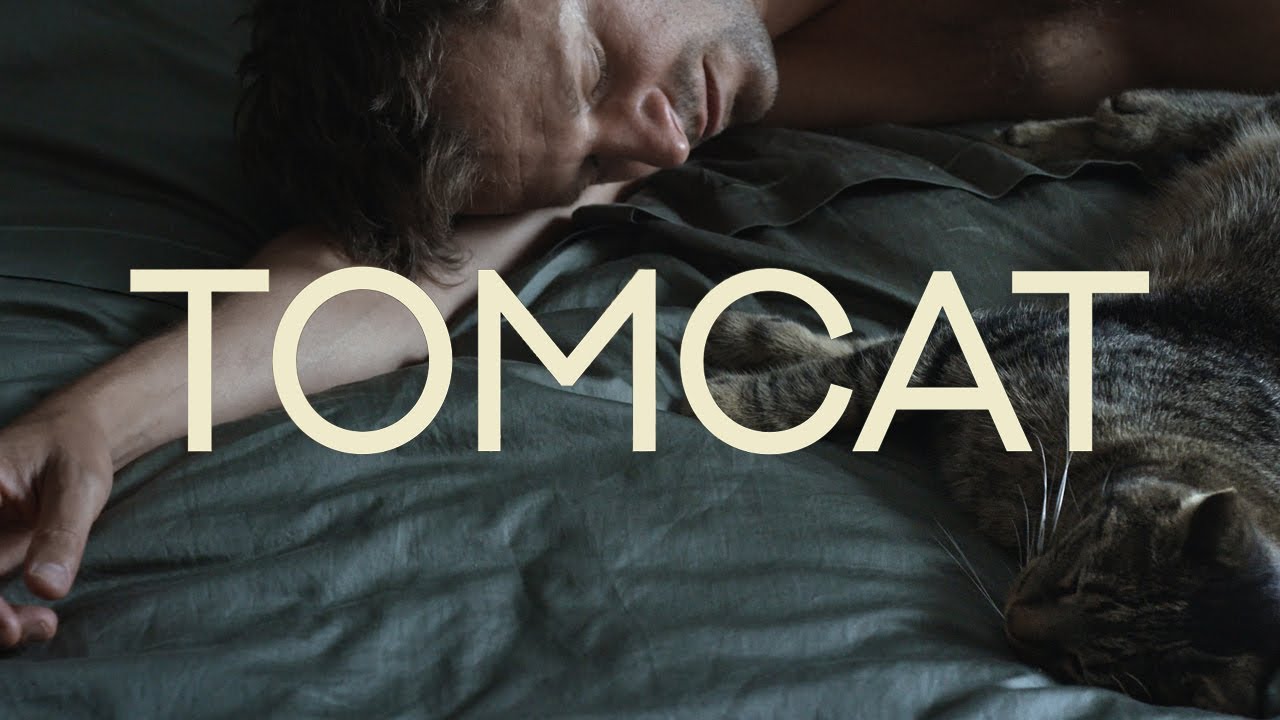 Tomcat