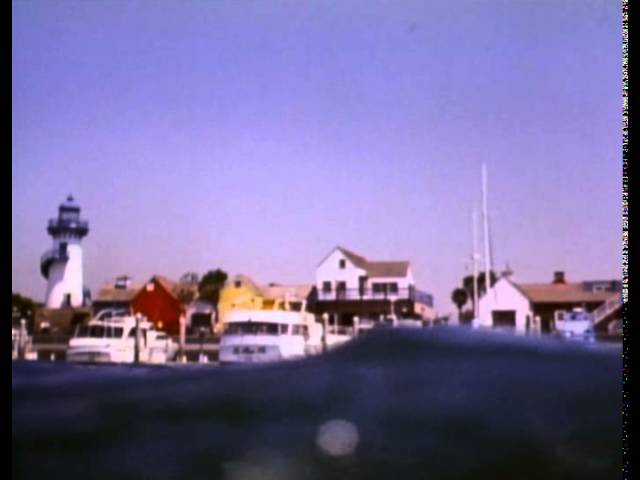 Jaws: The Revenge