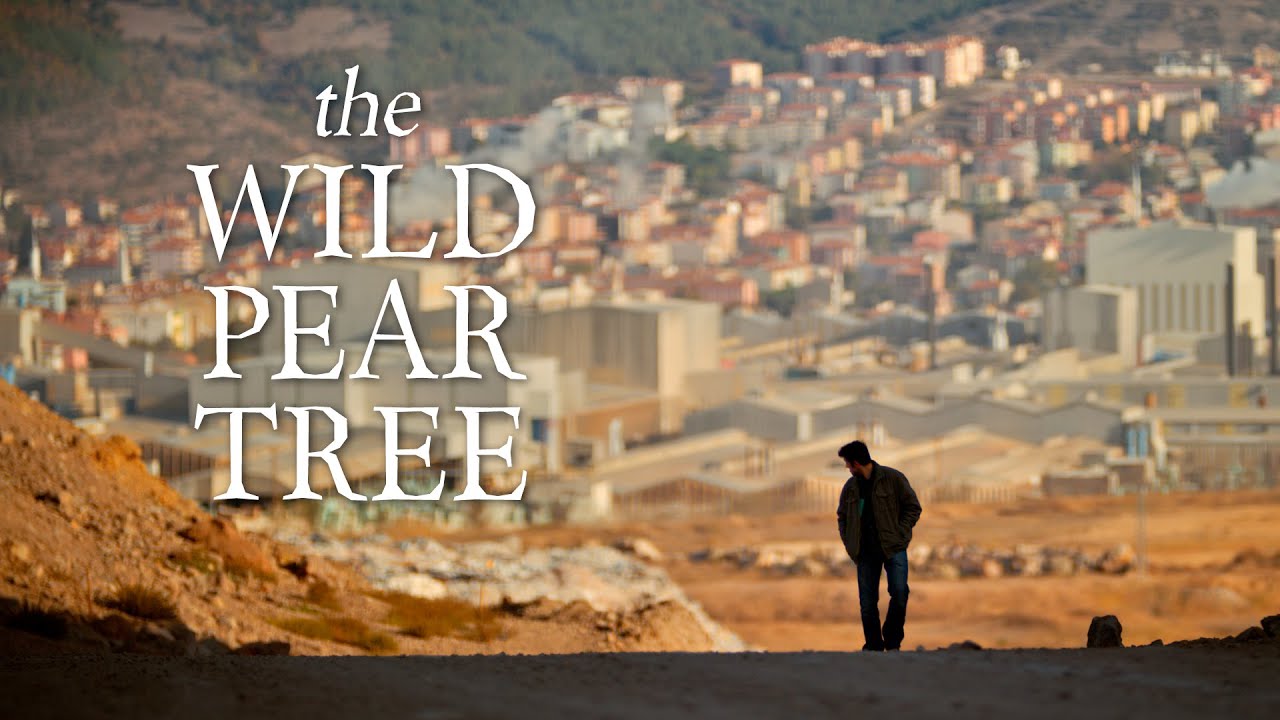 The Wild Pear Tree