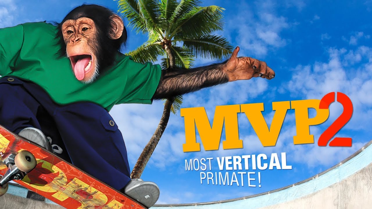 MVP 2: Most Vertical Primate