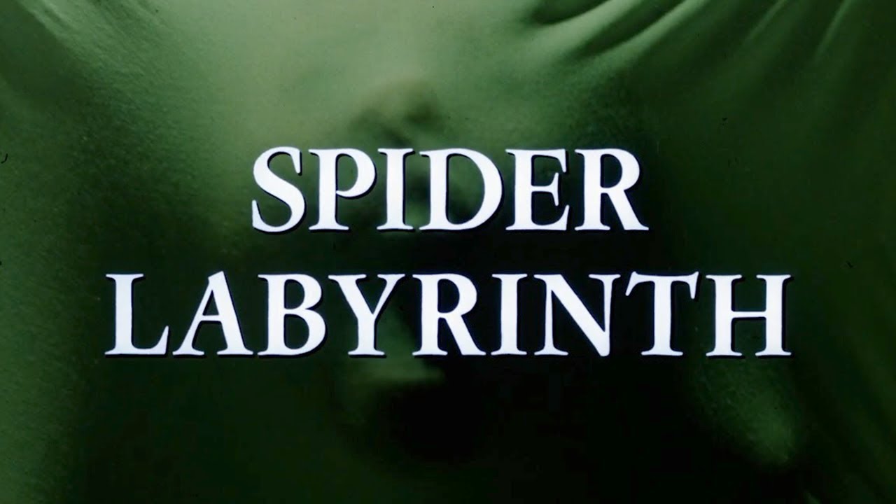 The Spider Labyrinth