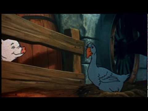 Charlotte's Web