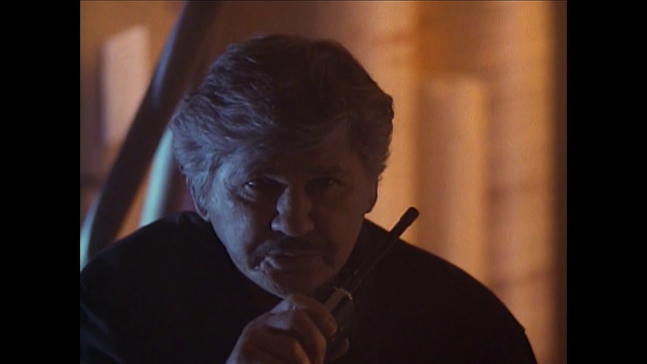 Death Wish V: The Face of Death