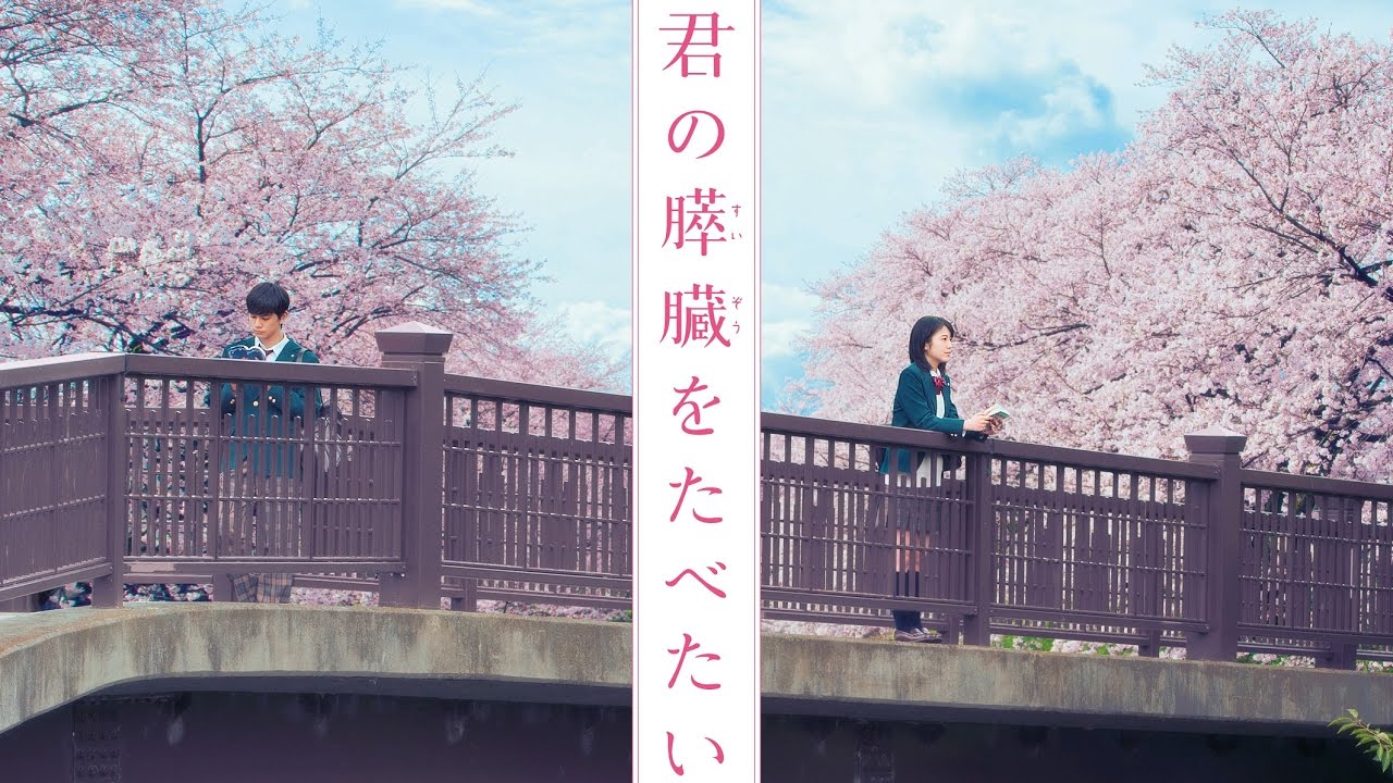 Let Me Eat Your Pancreas