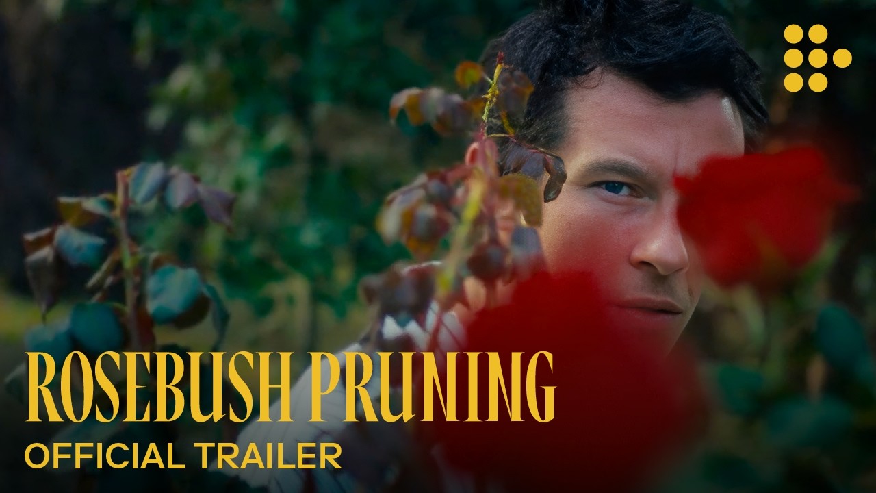 Rosebush Pruning