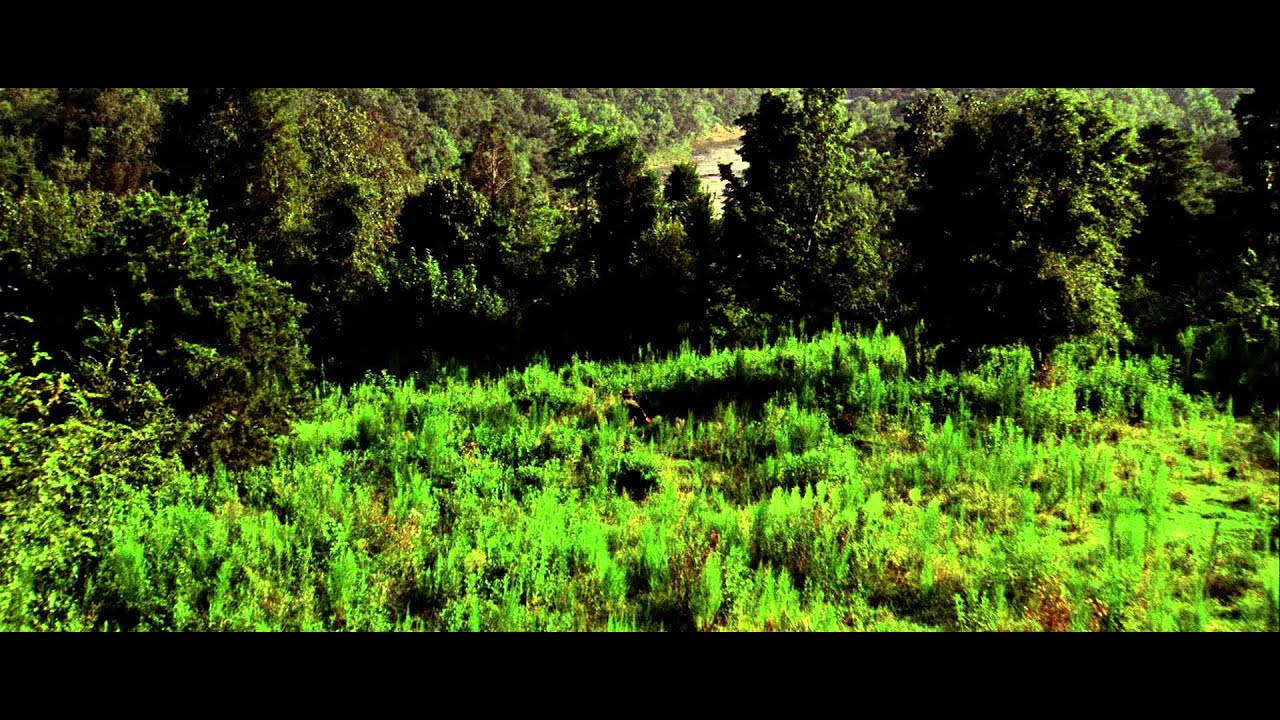 Cold Mountain