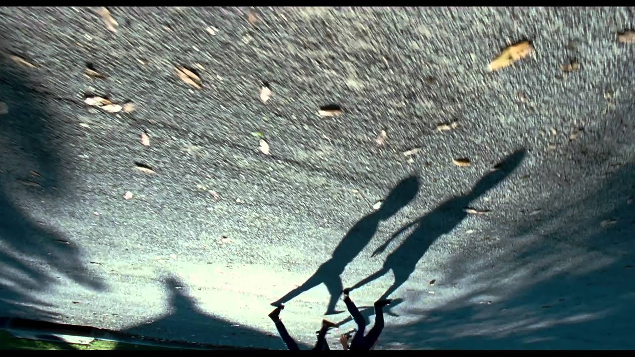 The Tree of Life