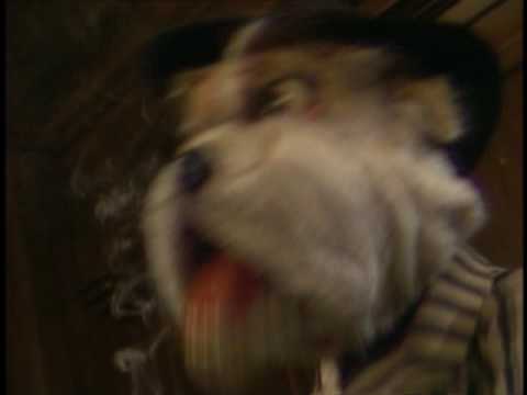 Dog City