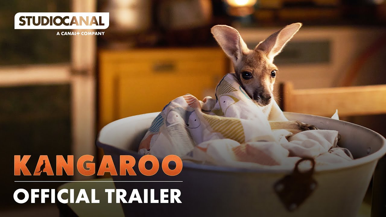 Kangaroo
