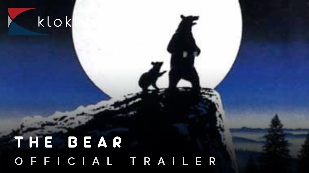 The Bear