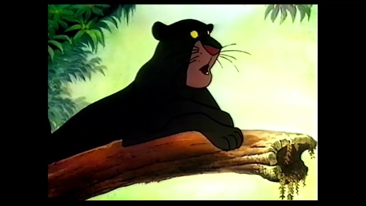Jungle Cubs (Volume 1): Born to be Wild