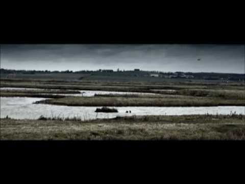 The Hide